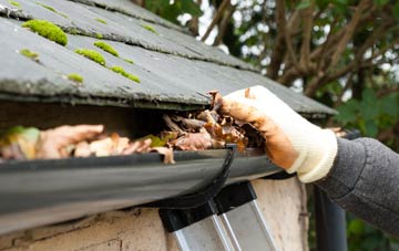 gutter cleaning Little Skipwith, North Yorkshire