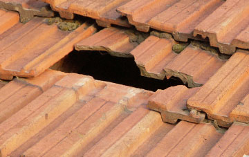 roof repair Little Skipwith, North Yorkshire